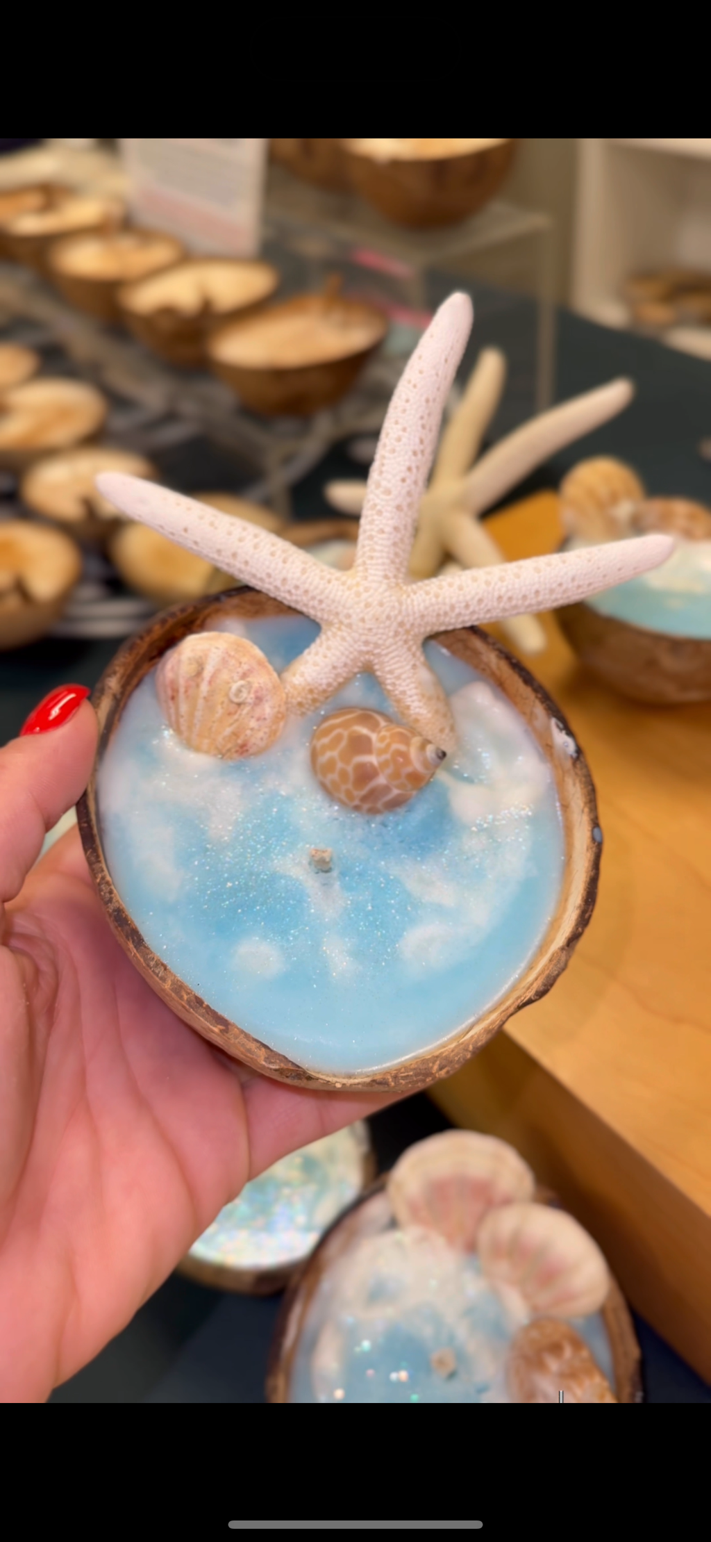 Velas Del Mar con Estrella o Concha